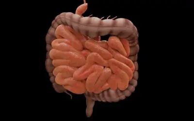 Saliva sample reveals microbiome of stomach and small intestine