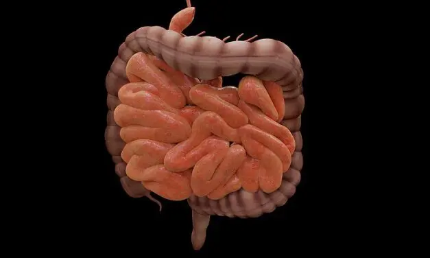 Saliva sample reveals microbiome of stomach and small intestine