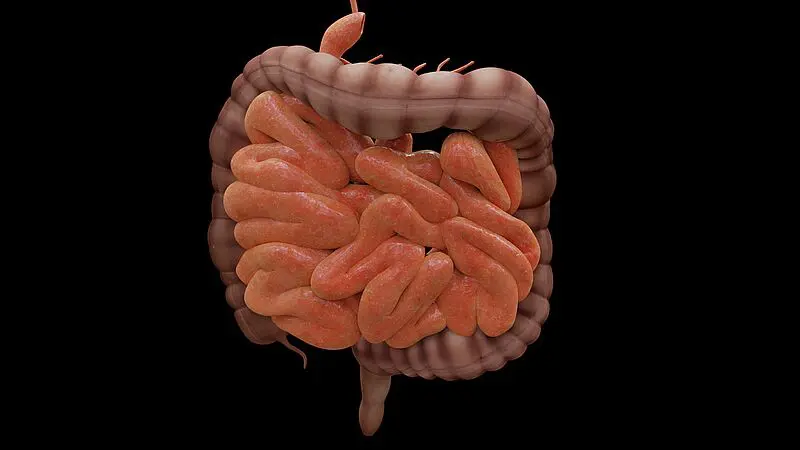 Saliva sample reveals microbiome of stomach and small intestine