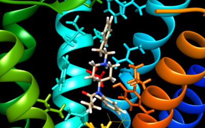 Fentanyl & Nitazene: Opioid crisis hits Berlin with full force