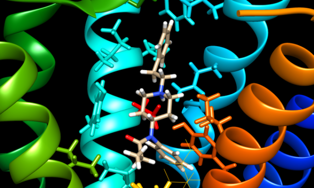 Fentanyl & Nitazene: Opioid crisis hits Berlin with full force