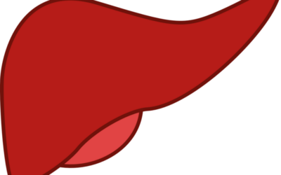 DKLM 2025: GDF-15 could protect liver from metabolic and alcohol-related damage