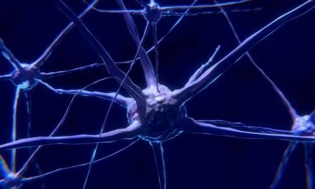 New approach against glioblastomas: Researchers decipher immune regulation