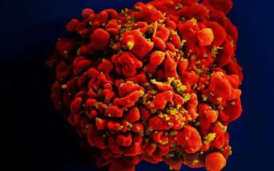 Cologne researchers discover broadly effective antibody against HIV