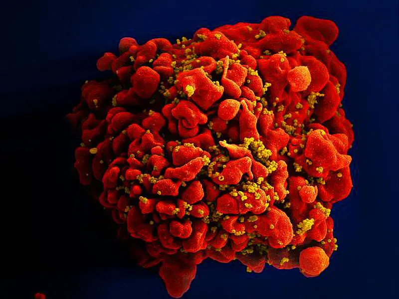 HIV antibodies: 007 overcomes resistance gaps