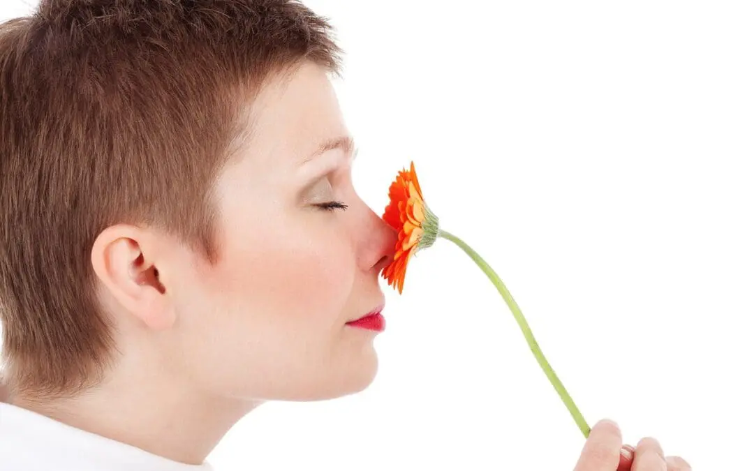 Study calls for more attention to the sense of smell
