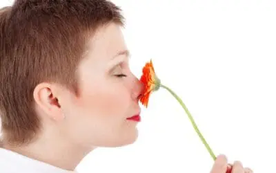 Study calls for more attention to the sense of smell