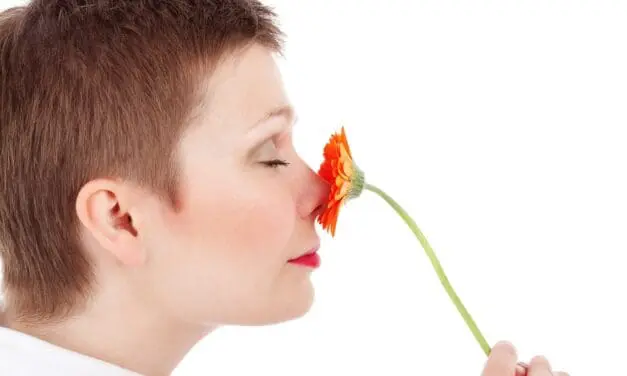 Study calls for more attention to the sense of smell