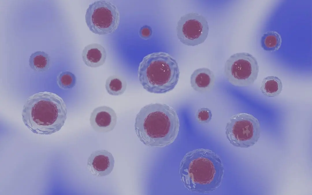 AI system SPARK revolutionizes cancer diagnostics in pathology
