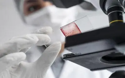 AI2M: New biomedical AI center at the Max Delbrück Center