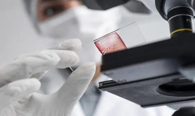 AI2M: New biomedical AI center at the Max Delbrück Center