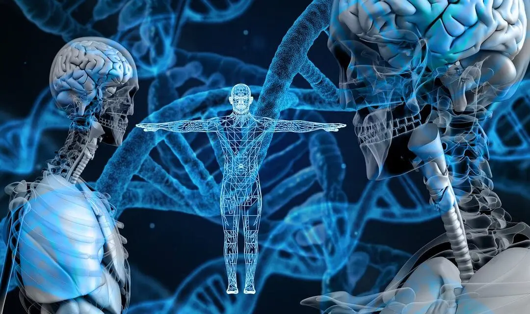 DKLM 2025: Proficiency tests in liquid biobanking reveal quality deviations