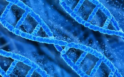 AI at expert level: New model detects M-proteins in serum protein electrophoresis