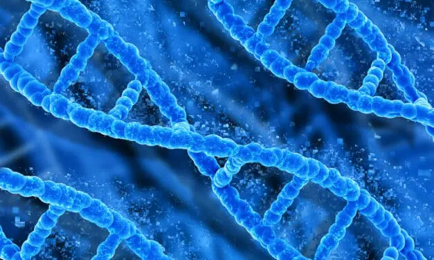 Breakthrough in protein structure research: Cryo-optical microscopy reveals PIEZO1 in Ångström accuracy