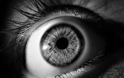 Microbiome: Evidence of an gut-retinal axis