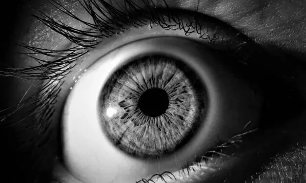 Microbiome: Evidence of an gut-retinal axis