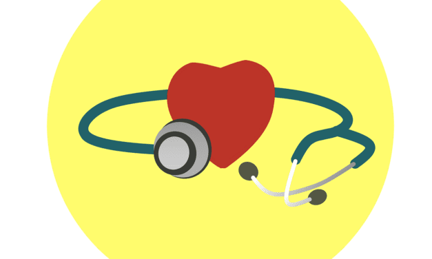 DiGA reform drives rise in health apps, but quality remains lacking