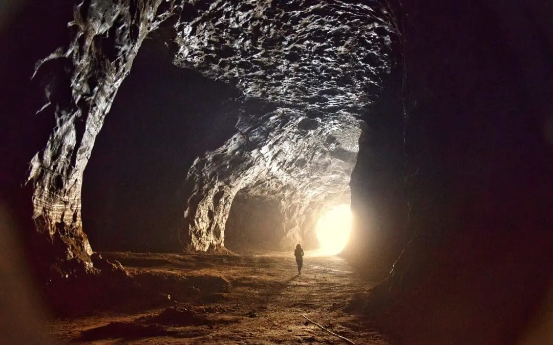 Plant-based active ingredient shows success against asthma remodeling