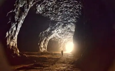 Plant-based active ingredient shows success against asthma remodeling