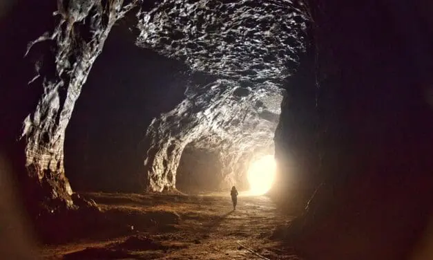 Plant-based active ingredient shows success against asthma remodeling