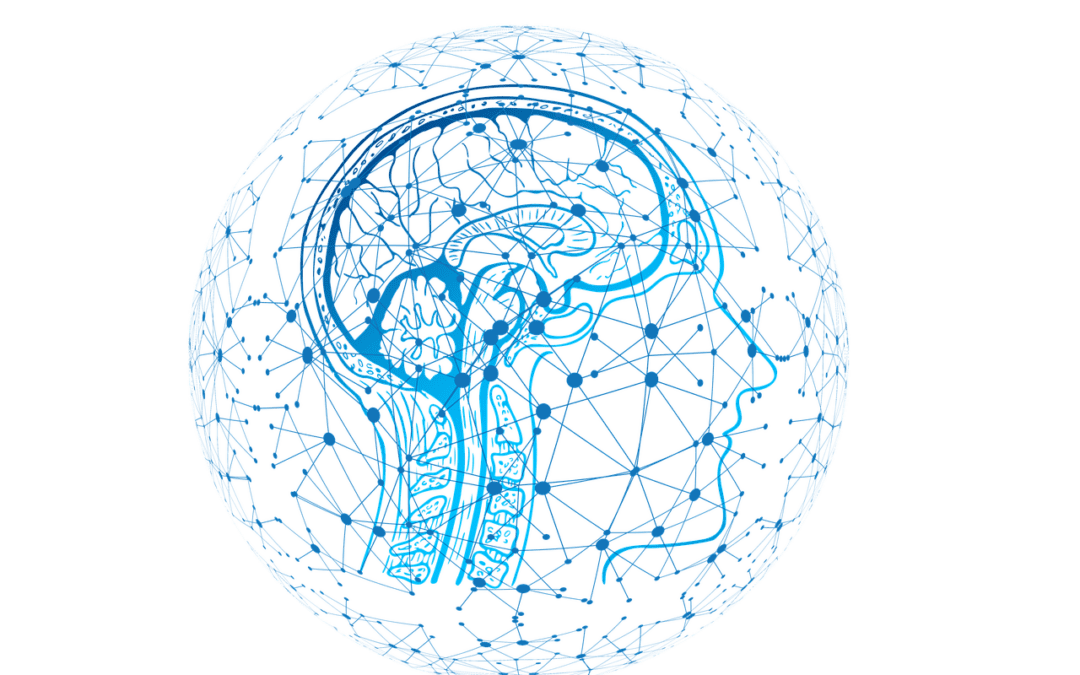 Love hormone oxytocin promotes social behavior directly in the medial prefrontal cortex