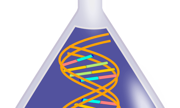 Universität Hamburg defends top position in sustainability ranking