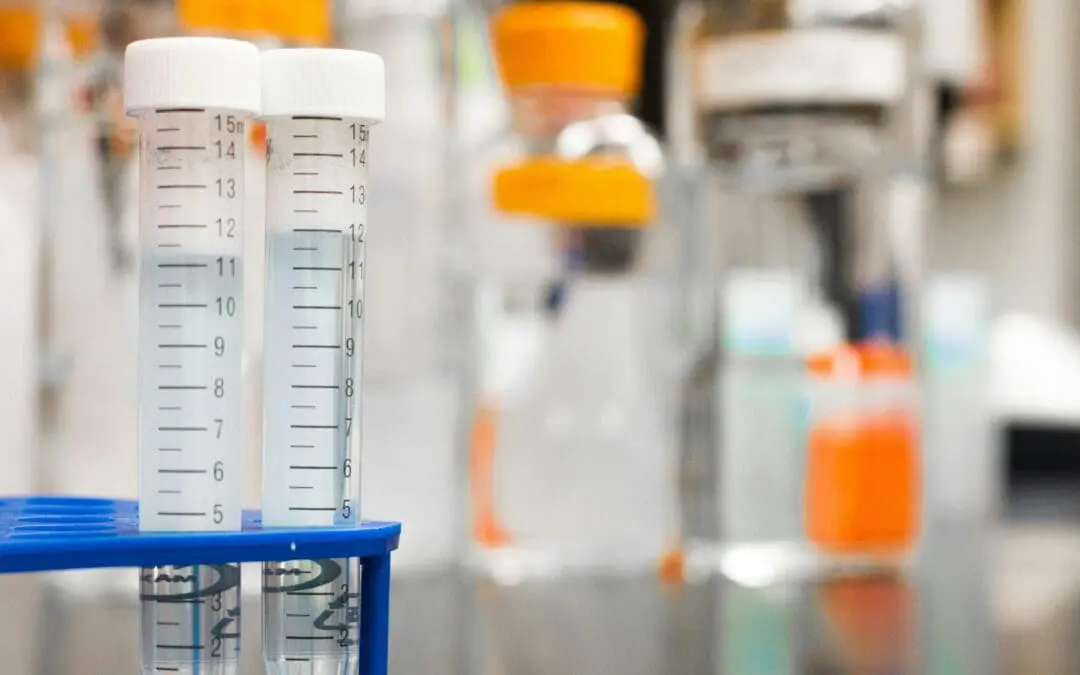 Hepatitis E: Bemnifosbuvir inhibits virus replication