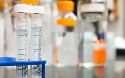 Hepatitis E: Bemnifosbuvir inhibits virus replication