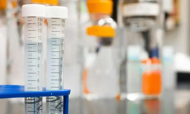 Hepatitis E: Bemnifosbuvir inhibits virus replication