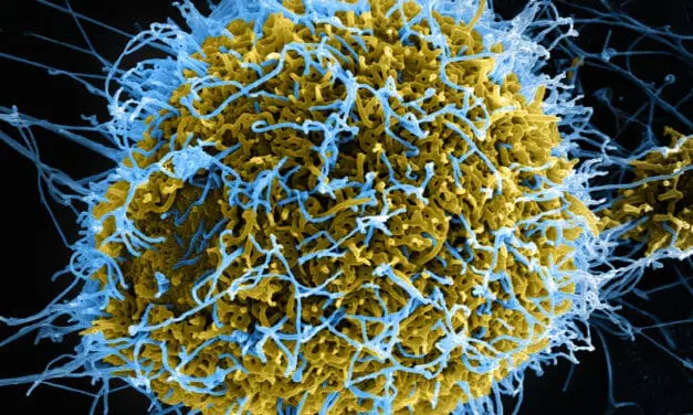 Ebola outbreak in Congo declared a global health emergency