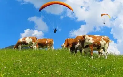 Laboratory medicine on the mountain pasture: precision for health in the Alps