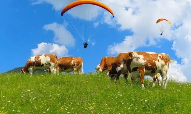 Laboratory medicine on the mountain pasture: precision for health in the Alps