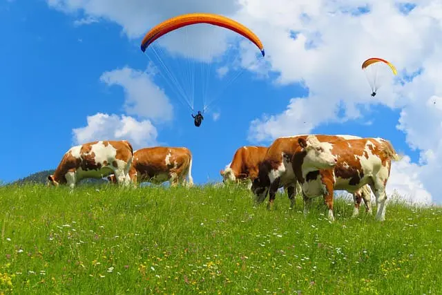 Laboratory medicine on the mountain pasture: precision for health in the Alps