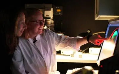 Kiel researchers decipher microbial infection protection in nematodes