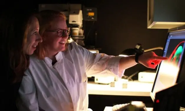 Kiel researchers decipher microbial infection protection in nematodes