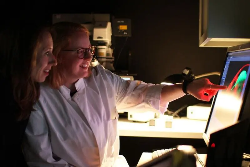 Kiel researchers decipher microbial infection protection in nematodes