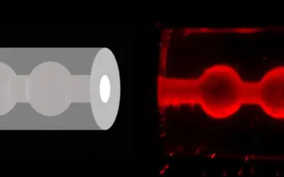 Bioprinting: ETH Zurich develops 3D breast tissue model for research into breast milk production