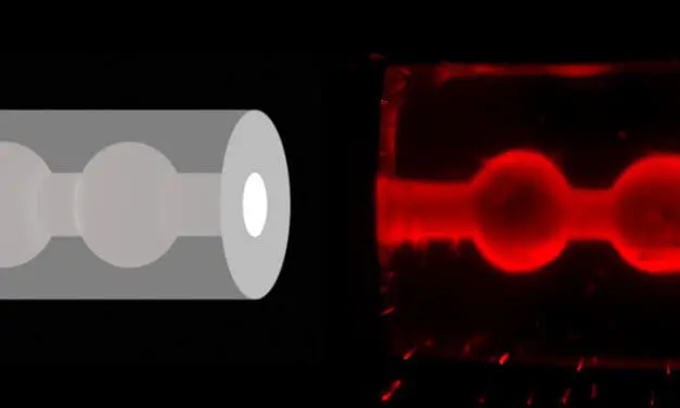 Bioprinting: ETH Zurich develops 3D breast tissue model for research into breast milk production