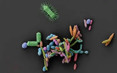 Tübingen study: Non-antibiotics weaken intestinal protection and promote pathogens