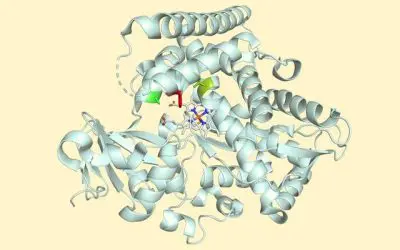 University of Basel develops enzyme for sustainable MHAT reaction