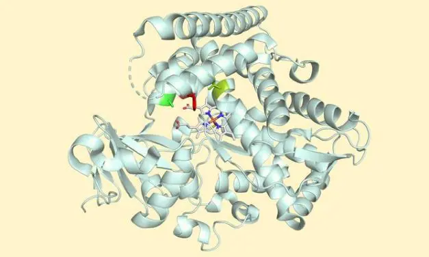 University of Basel develops enzyme for sustainable MHAT reaction