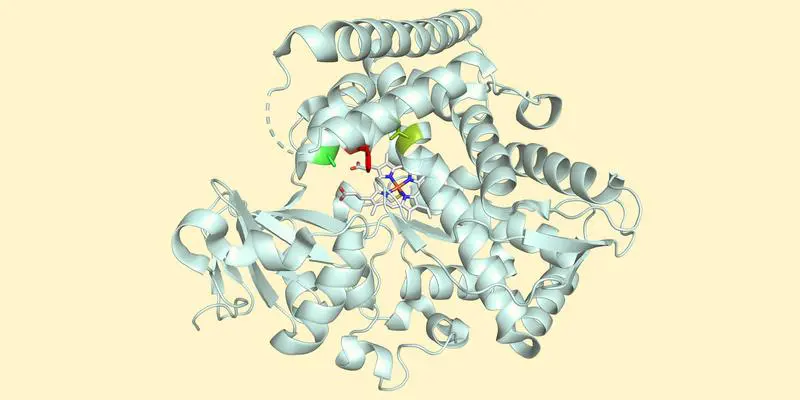 University of Basel develops enzyme for sustainable MHAT reaction