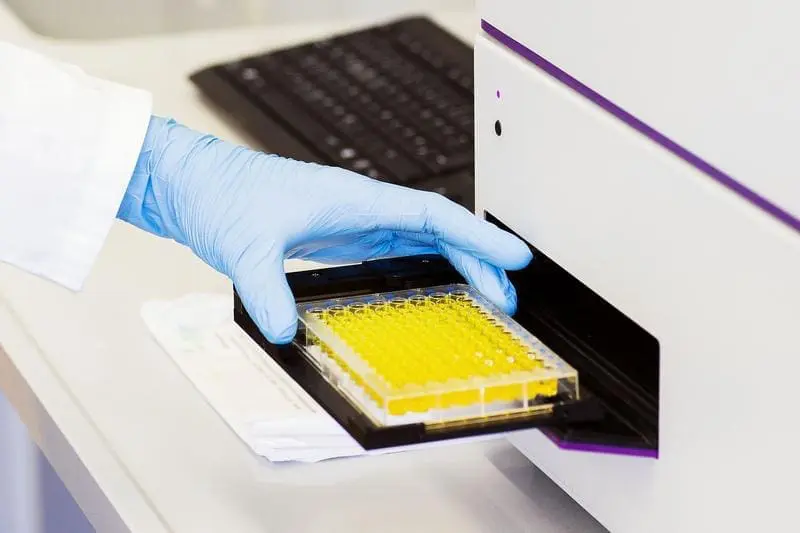 Beta-carotene identified as key against enzyme inhibition