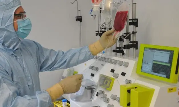 20 years of stem cell therapy: Würzburg University Hospital as a European showcase center