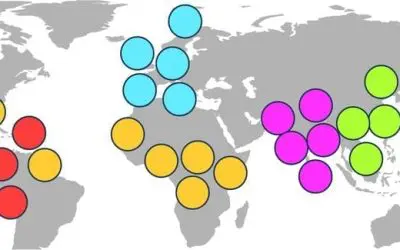 Breakthrough in genome research: diversity of the human genome mapped in detail