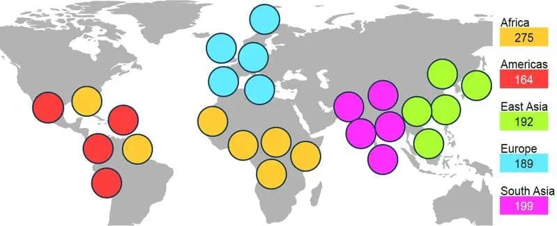 Breakthrough in genome research: diversity of the human genome mapped in detail