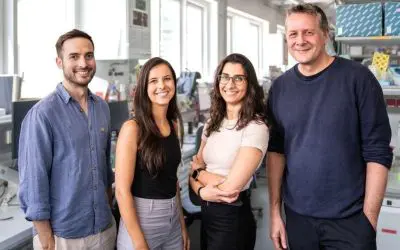 New insights into the movement of immune cells through complex tissues