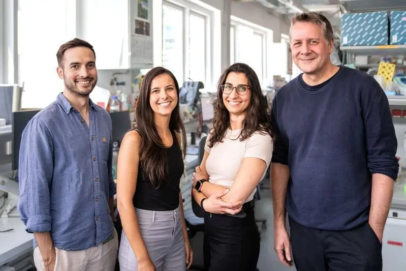 New insights into the movement of immune cells through complex tissues