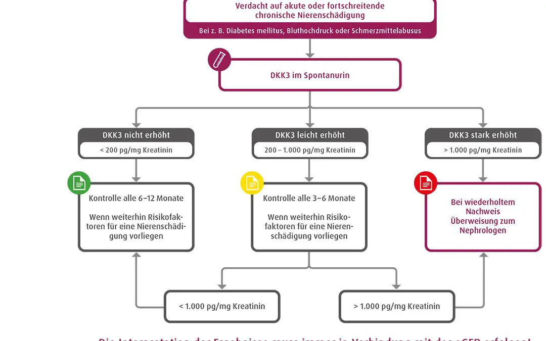DKK3 in urine: early warning system for kidney damage
