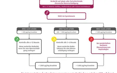 DKK3 in urine: early warning system for kidney damage